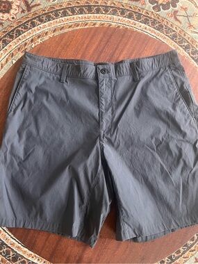 Men’s The North Face Performance Shorts SZ 36